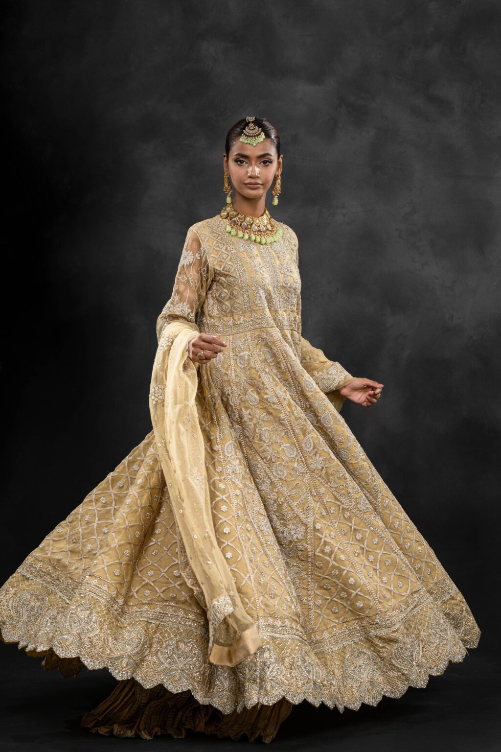 Zarmina Heavy Embroidered Maxi - Dupatta Detail | MEHRAAH